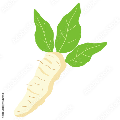 horseradish 
