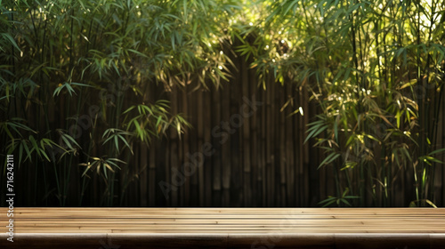 bamboo forest in the morning