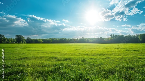 Fototapeta Naklejka Na Ścianę i Meble -  Green meadow under blue sky with white clouds. Beautiful summer landscape.