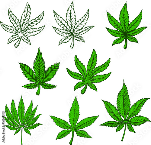 Set of illustrations of cannabis leaves. Design element for poster, card, banner, sign. Vector illustration