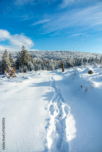 Kleine Winterwanderung im runde um den verschneiten Inselsberg bei Brotterode - Thüringen - Deutschland