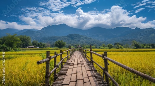 wooden bridge stretches across the yellow rice fields with mountains clouds and blue sky in background