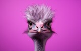 An ostrich with a mohawk on a pink background. Generative AI.
