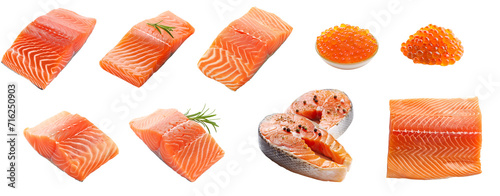 Collection of salmon: Salmon Collar, Salmon Loin, Salmon Fillet , Salmon Frame, Salmon Steak, Salmon Roe , Caviar isolated on transparent background