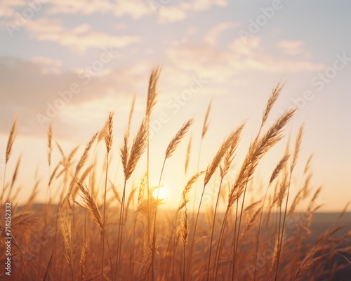 Golden wheat field at sunset. Generative AI.