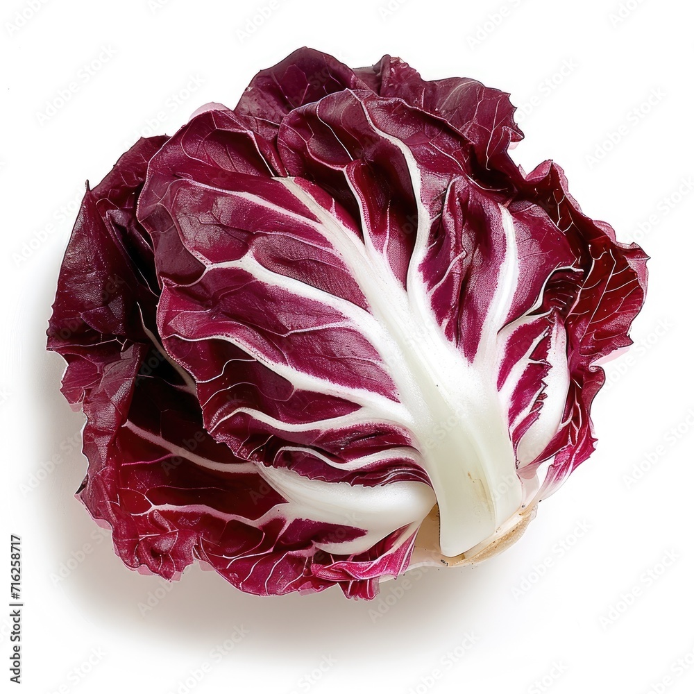 Obraz premium radicchio, with its striking burgundies leaves isolated on white background