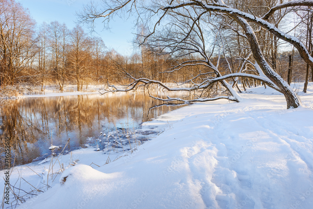 Winter landscape with river and trees in snow in sunny day Winter landscape with river and trees in snow in sunny day