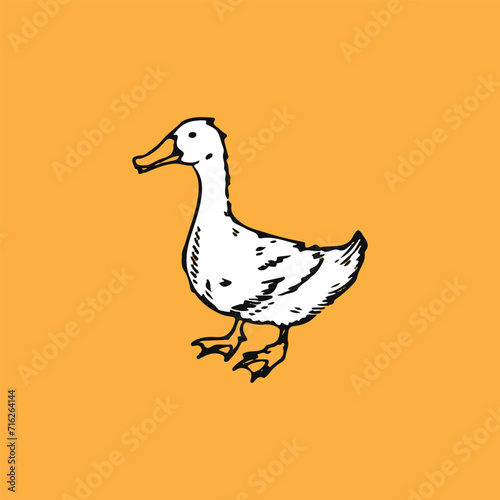 Simple minimal duck vector illustration isolated on yellow background