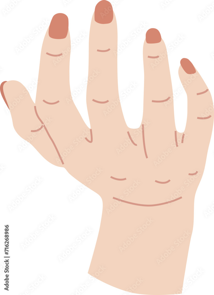 Open Hand Gesture, Hand Holding Gesture Open Hand Gesture, Hand Holding Gesture