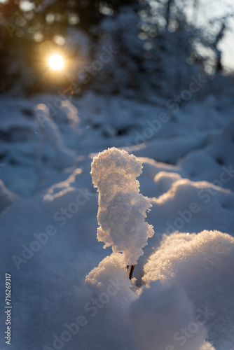 Formation de neige en contre jour au couché du soleil dans un sous-bois