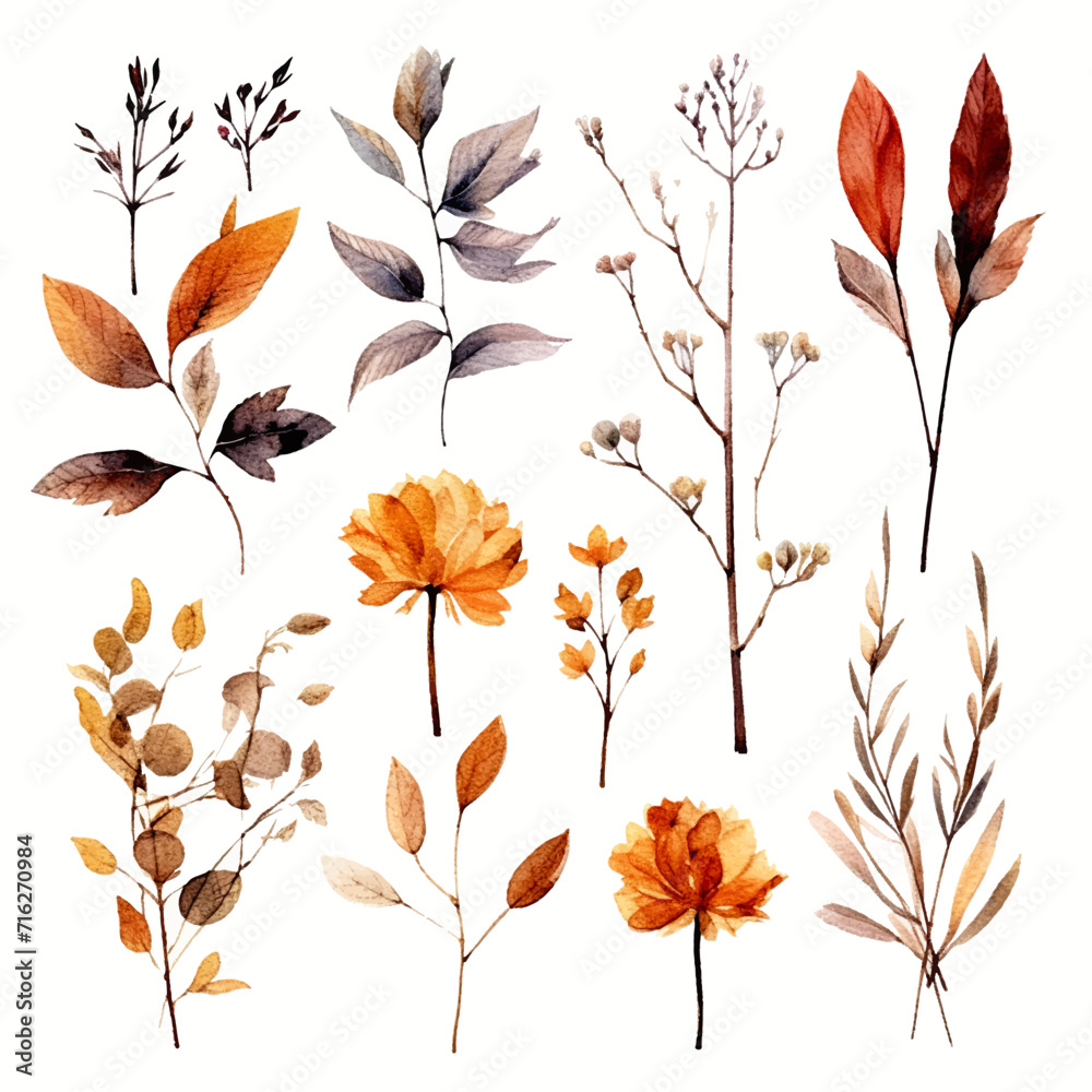 set of dry flowers, dried leaf and twig set of dry flowers, dried leaf and twig