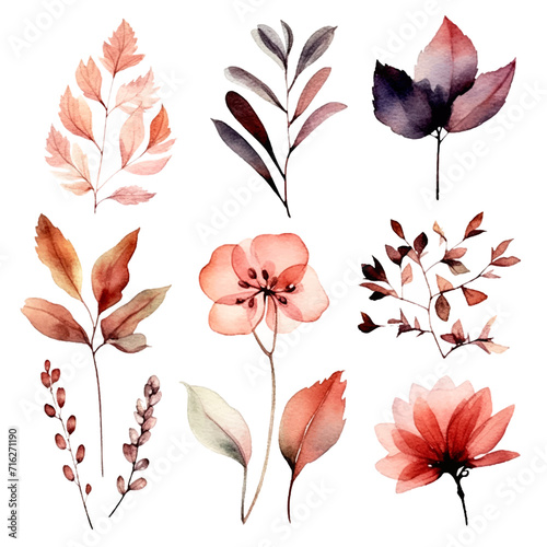 set of dry flowers, dried leaf and twig