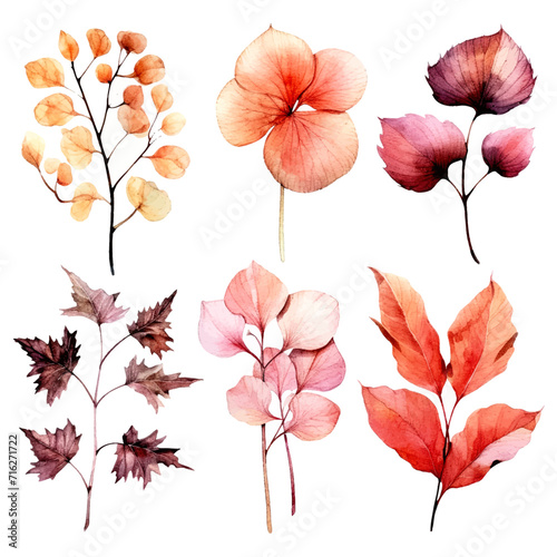 set of dry flowers, dried leaf and twig