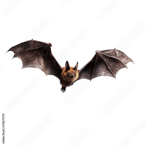 Bat Flying Isolated Transparent, Generative AI