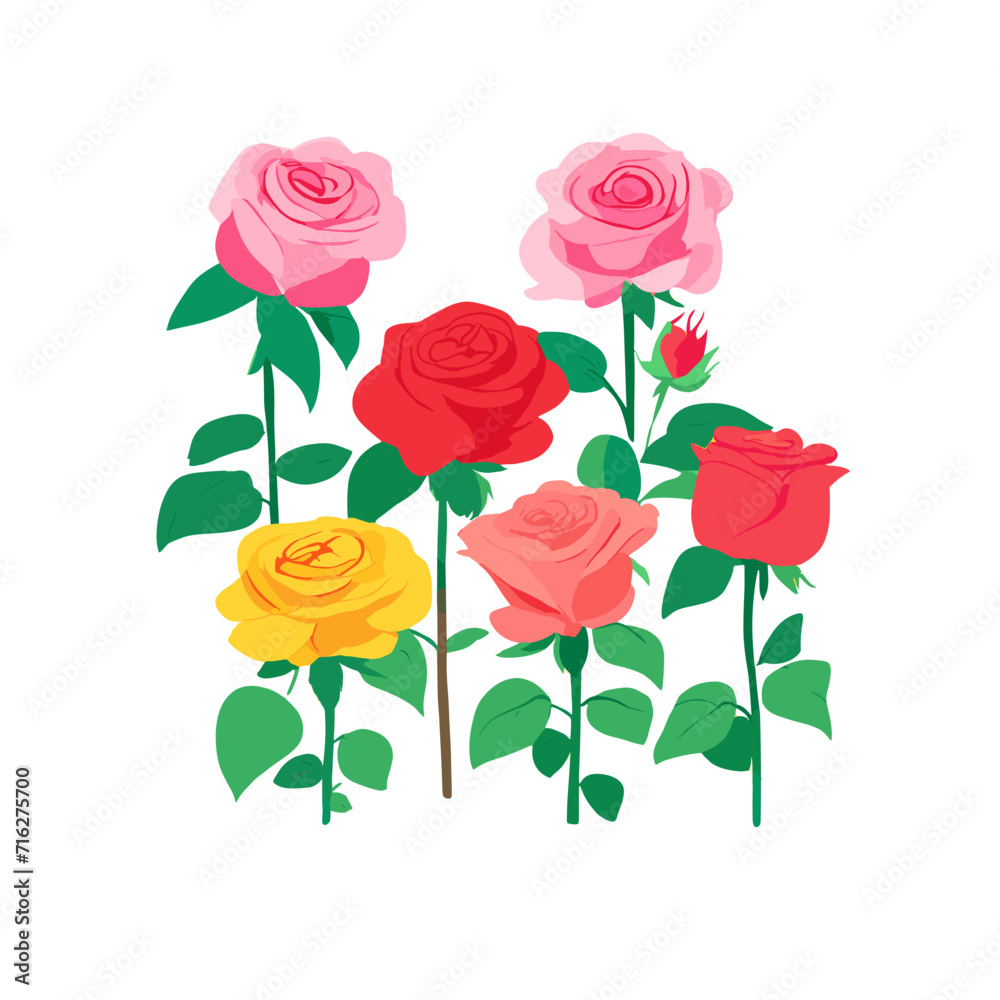 bouquet of roses bouquet of roses