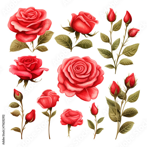 Set of pictures of red roses with leaves