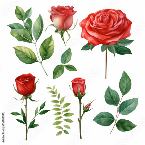 Set of pictures of red roses with leaves