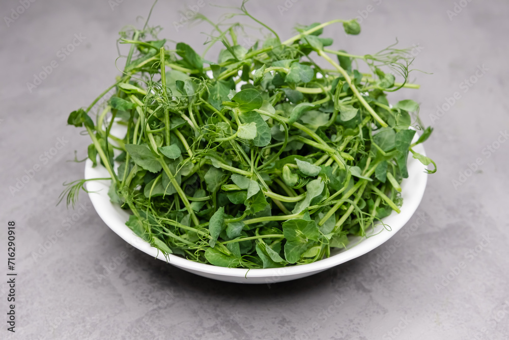 Growing greens at home. Microgreens of peas in plate on beige natural background. Healthy and fresh vegan food. Growing microgreens. Seed germination at home. Windowsill garden. Eco farming Growing greens at home. Microgreens of peas in plate on beige natural background. Healthy and fresh vegan food. Growing microgreens. Seed germination at home. Windowsill garden. Eco farming