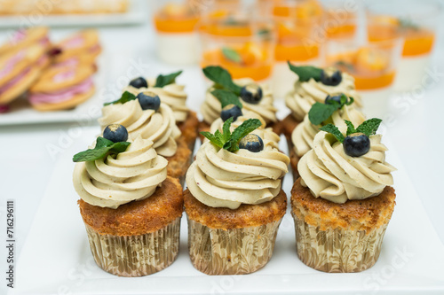Cupcakes with cheese cream in a candy bar decorated with blueberries and mint