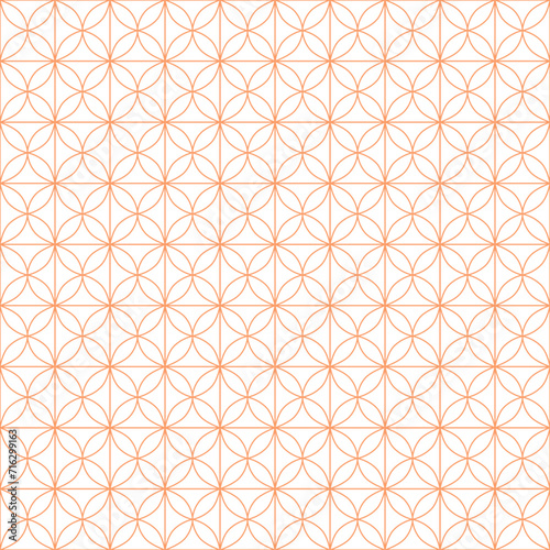 Luxury Geometric Ornamental Fashion Pattern Texture Background VECTOR