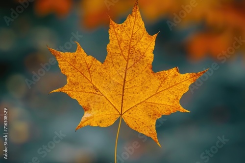 A single yellow leaf on a stick against a blurry background. This image can be used to represent the changing seasons or the beauty of nature