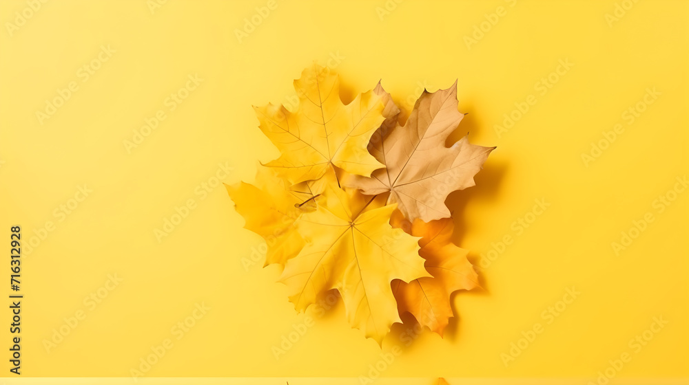 Autumn fall leaves. Maple leave in the corner of yellow background. Top view with copy space. Autumn fall leaves. Maple leave in the corner of yellow background. Top view with copy space.