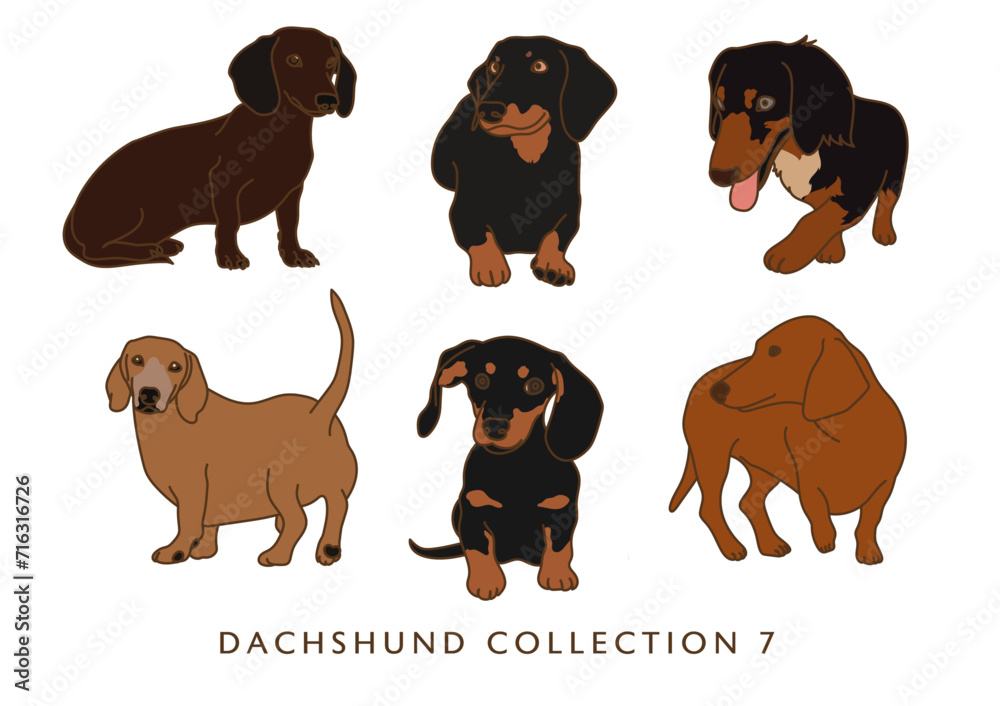 Dachshund Weiner Dog Illustration Collection 7 - In Color - Many Poses	
