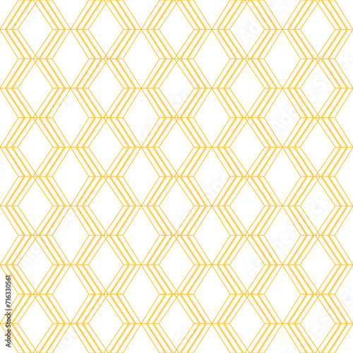 Luxury Geometric Ornamental Fashion Pattern Texture Background VECTOR