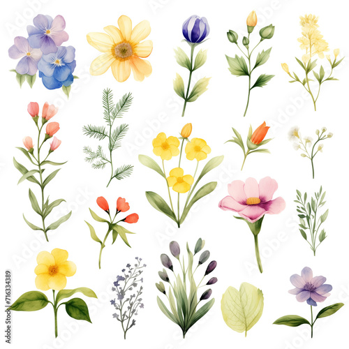 clipart bundle watercolor summer flora ,flower on summer theme, on transparent background 