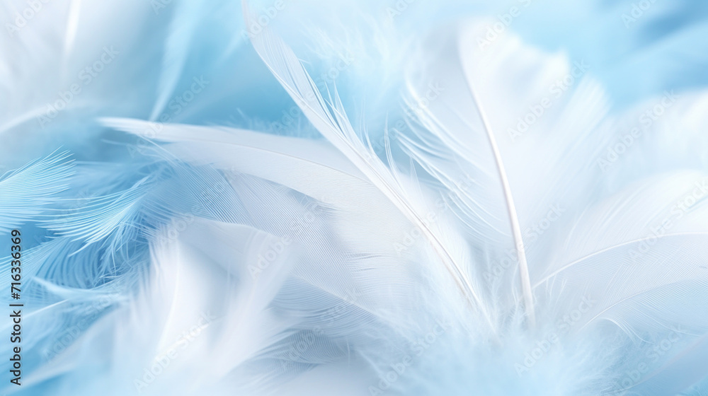 Fototapeta premium A close-up view of white feathers with a gentle blue tint, emphasizing soft texture.