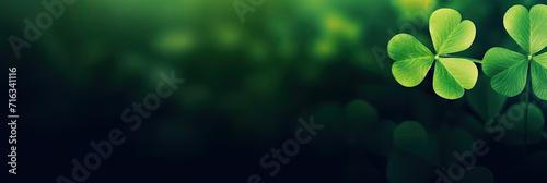 four leaf clover on green shamrock background. Green clover leaf isolated on dark background. with three-leaved shamrocks. St. Patrick's day holiday banner