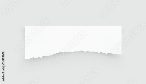 Torn paper edges. Ripped paper texture. Paper tag. White paper sheet for background with clipping path. Vector illustration.