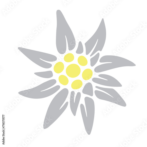 Edelweiss icon. Colored silhouette of a mountain flower. Symbol of the Alpine mountains. Symbol of happiness and love. Vector illustration isolated on white background for design and web. © Elena_Mitrokhina