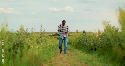 A young farmer is working in a blueberry field, talking on the phone while walking through a blueberry plantation.
