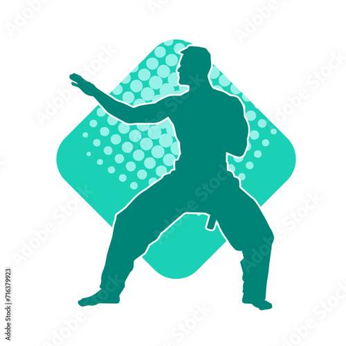 Silhouette of a man in oriental martial art pose. Silhouette of a male in martial art move.