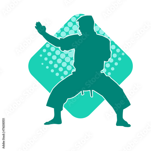 Silhouette of a man in oriental martial art pose. Silhouette of a male in martial art move.