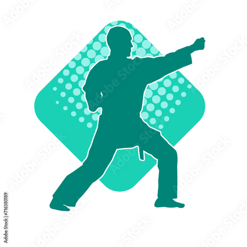 Silhouette of a man in oriental martial art pose. Silhouette of a male in martial art move.