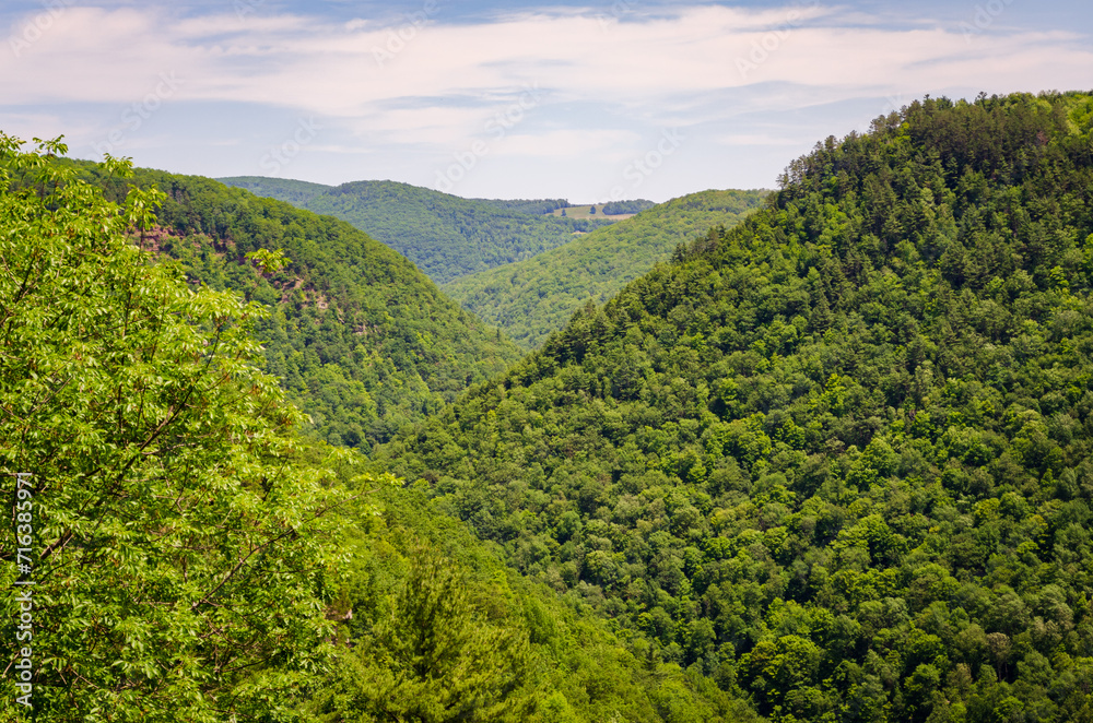 Obraz premium Pine Creek Gorge, or the The Grand Canyon of Pennsylvania, USA