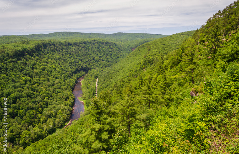 Fototapeta premium Pine Creek Gorge, or the The Grand Canyon of Pennsylvania, USA