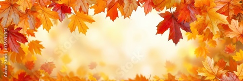 Autumn Frame Colorful Marple Leaves  Banner Image For Website  Background  Desktop Wallpaper