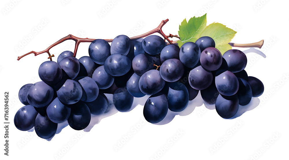 grapes watercolor graphic isolated on white background, Generative AI grapes watercolor graphic isolated on white background, Generative AI