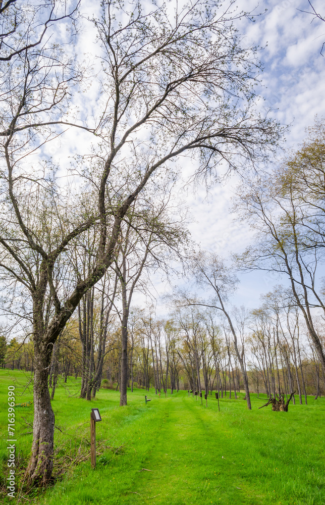 Obraz premium Pithole, a ghost town in Cornplanter Township, Venango County, Pennsylvania, United States