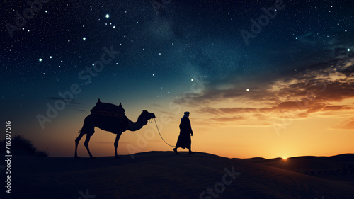 camel in desert at night