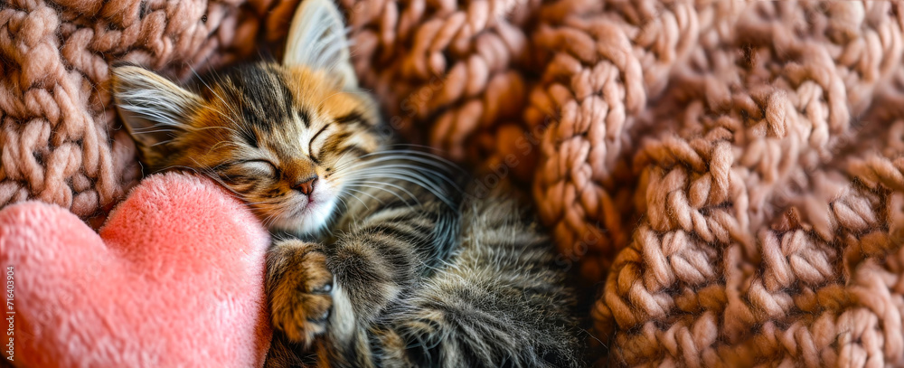 Cute kitten sleeping on a soft red heart-shaped pillow. Close-up. The concept of love, Valentine's Day. Place for text