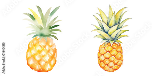 pineapple fruit watercolor vector illustration