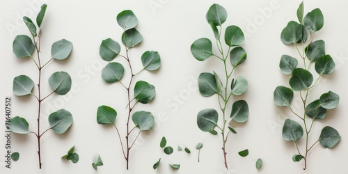A collection of green leaves arranged on a white surface. Perfect for adding a touch of nature to any project