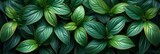 Green Leaves Texture Banner Abstract Nature, Banner Image For Website, Background, Desktop Wallpaper
