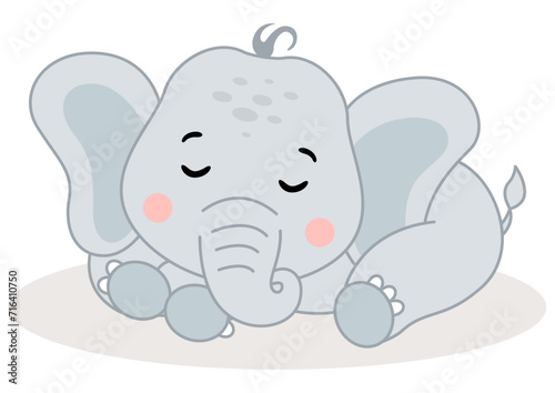 Cute adorable baby elephant sleeping