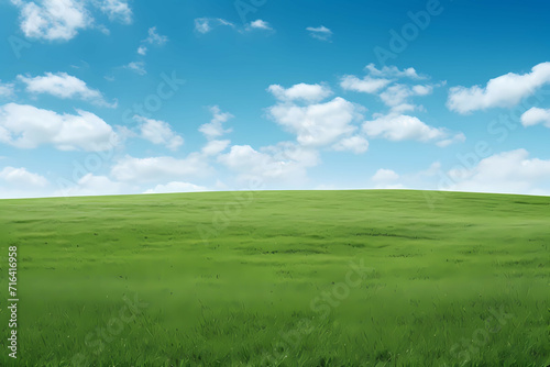 Green Grass On A Vast Grassy Field  A Green Field With Blue Sky And Clouds