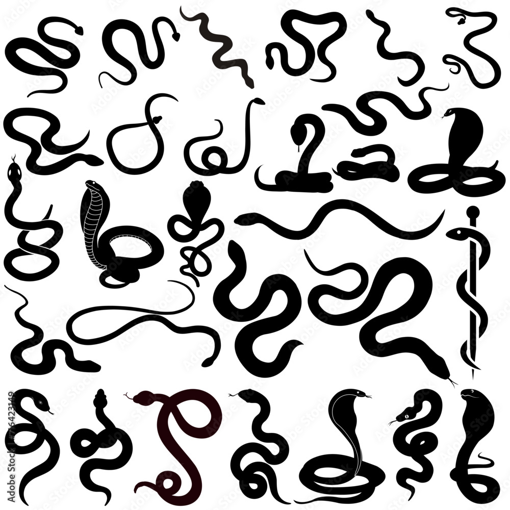 Snake icon vector set. Spineless illustration sign collection. Reptile symbol or logo. Snake icon vector set. Spineless illustration sign collection. Reptile symbol or logo.